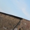 Festa di Pozzoveggiani 2011