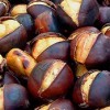 Gruppo Anta: incontro e castagnata